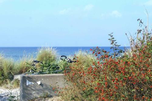 Apartamento Fewo Juerss Strandstrasse Bernstein