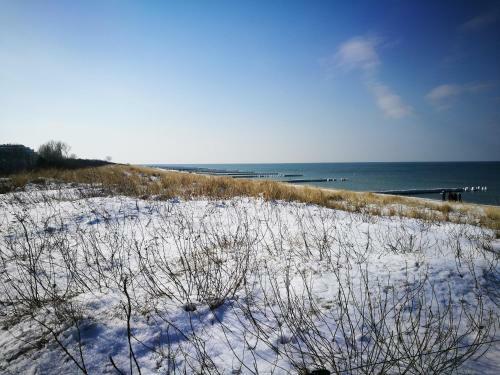 Apartamento Dar�er Strandgut - Haus Ahrenshooper Holz