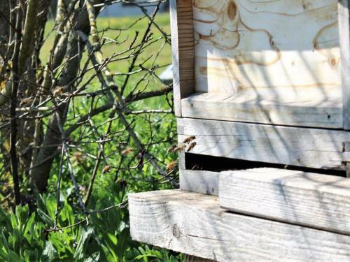 Apartamento Ferienhaus Landliebe