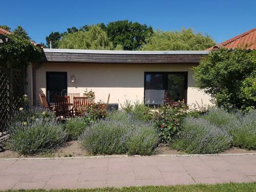 Apartamento Ferienwohnanlage "am Bernsteinsee"