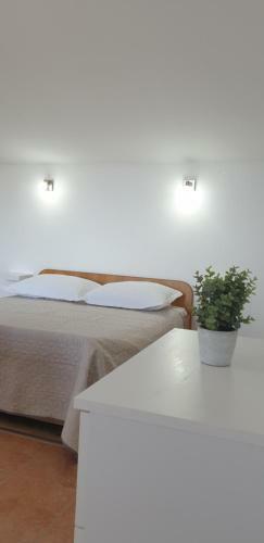 Apartments Oliva