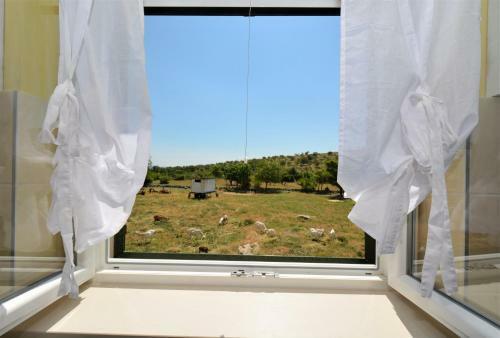 Apartman Marija
