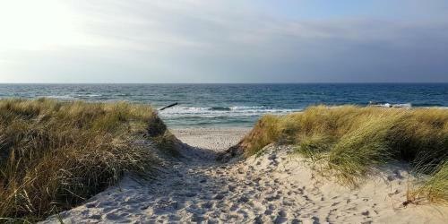 Apartamento Strandl�per