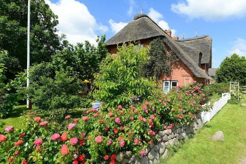 Apartamento Ferien Unterm Reetdach Whg 03