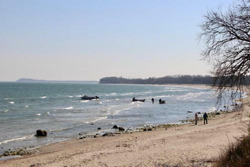 Haus Krabbe Mit Strandkorb Inkl