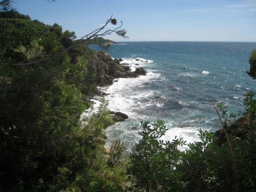 Residence Hoteliere La Pinede Bleue
