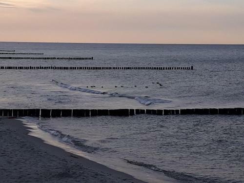 Apartamento Strandkrabbe