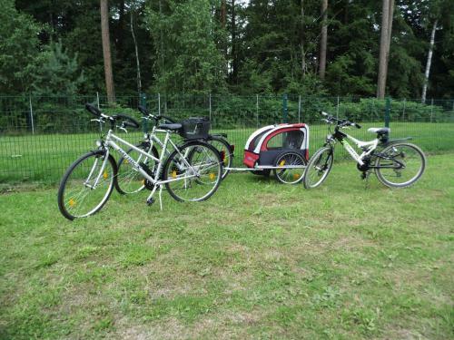 Apartamento Zur Fledermaus