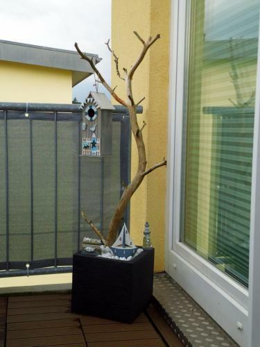 Apartamento Zur Fledermaus