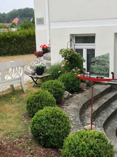 Hostal Villa Baltia