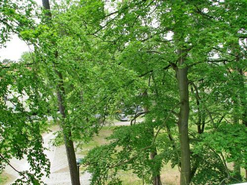 Apartamento Strandpark Graal-m�ritz Strandpark Graal-m�ritz 16-3-s