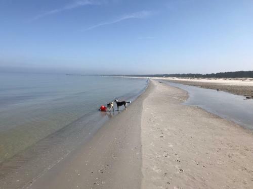 Apartamento Ferienwohnung Strandperle