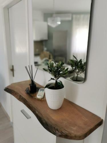Apartman Teo