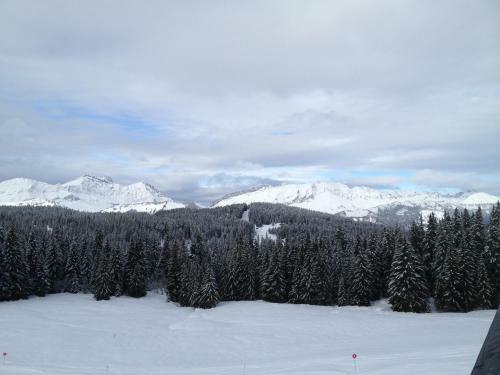 Hotel Chalet Du Vivier