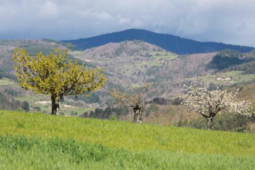 Bed & Breakfast La Bastide De Fontaille