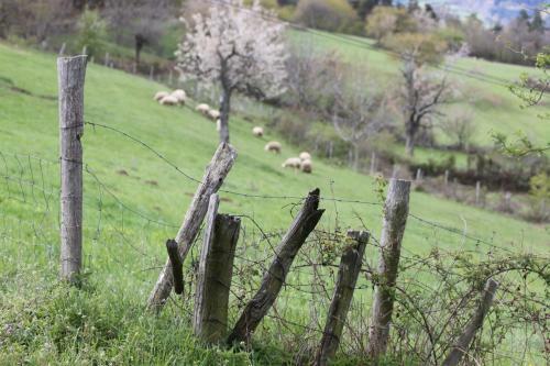 Bed & Breakfast La Bastide De Fontaille