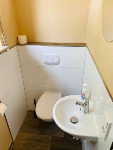 Generous Apartment With Own Parking Space