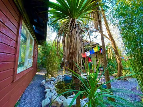 Driftwood Country Apartment