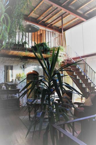 The Tower House B&B