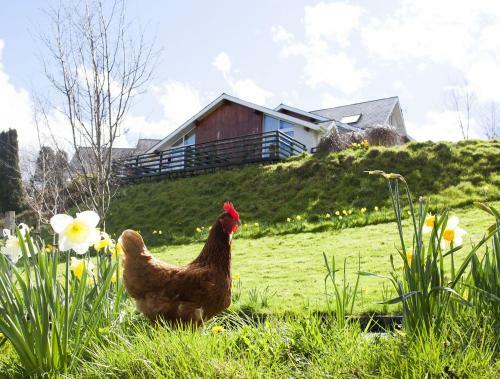 Bed & Breakfast Wicklow Way Lodge