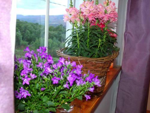 Tranquil Apartment Near Kenmare