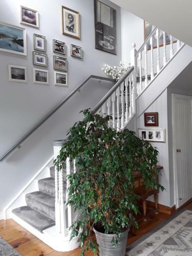 Bed & Breakfast Mill Lane
