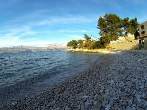 Apartamentos Beach App Viktor