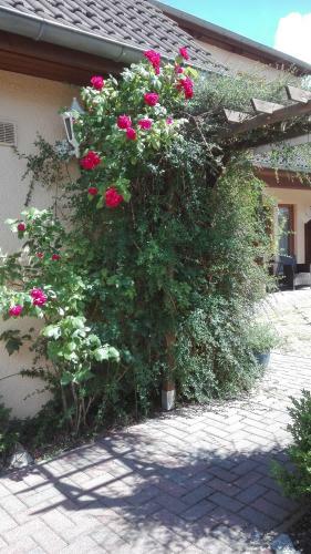 Hostal Pension Mien Fr�ndt