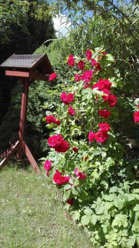 Hostal Pension Mien Fr�ndt