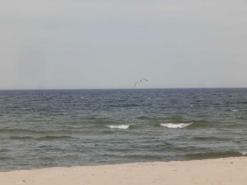 Strand Und Waldhaus Ostseeperle