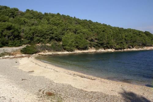 Secluded Family Friendly House Skrip, Brac - 18944