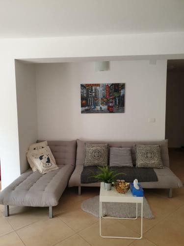 Garden Bbq Spacious Apartment By Rt Kamenjak