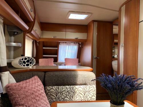 Unique Camping Experience