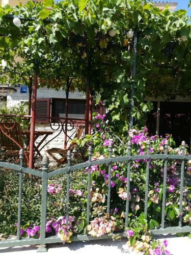 Apartamento Summer Time