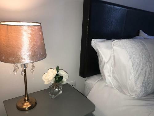Trinity Apartments - 2b Studio Apt Waterford City