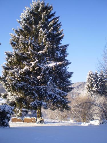 Bed & Breakfast Chambres D'h�tes Le Clos Des Lesses