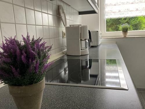 Apartamento Goosbrink 3