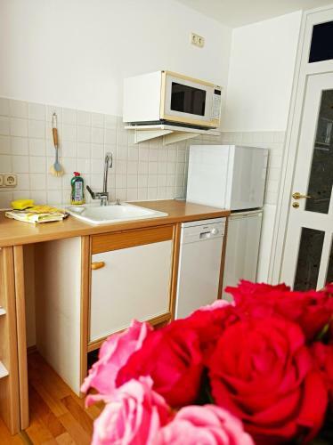 Apartamento Galeria Helmut
