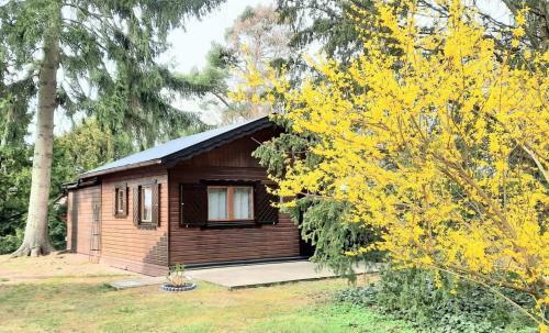 Kleiner Bungalow Am Wald