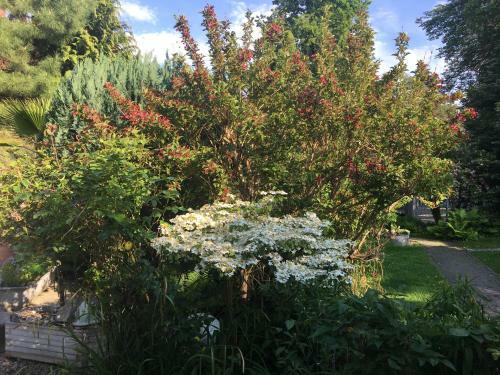 Apartment Tinyhouse Mit Pool, Outdoor Whirlpool Und Garten