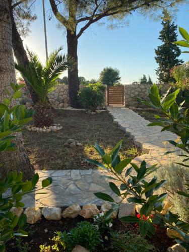 Apartamentos Holiday Home Nova