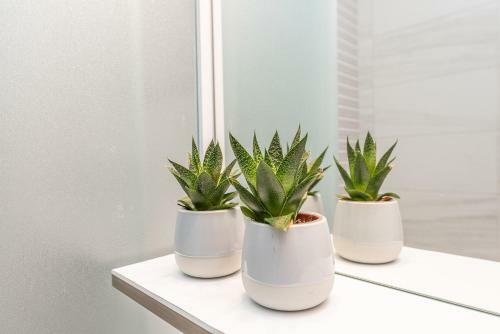 Apartamento Star 6 Modern & Centrally Ap For 6