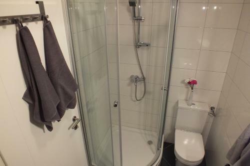 Apartment Dragica