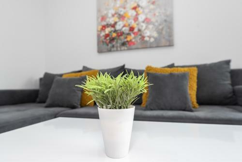 Apartamento Villa Star 3 A Centrally Located Ap. With A Pool