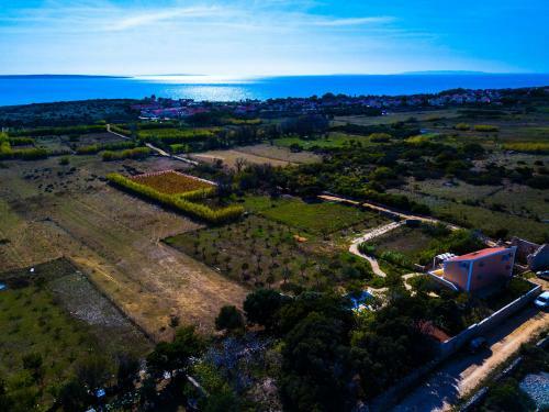 Villa Cesarica Novalja