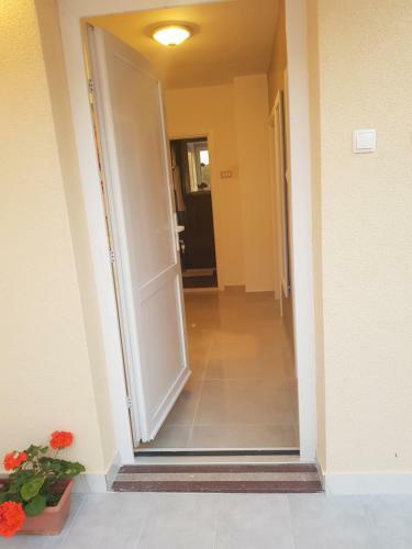 Apartman Mig