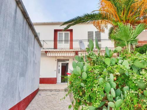 Apartamento Betanovalja