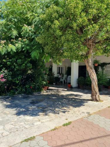 Hostal Ana & Marko Rooms