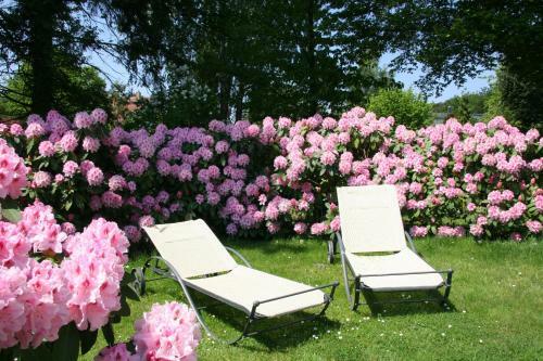 Apartamentos Pension Villa Edelwei�