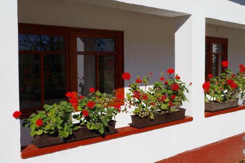 Hostal Guest House St. M�ria